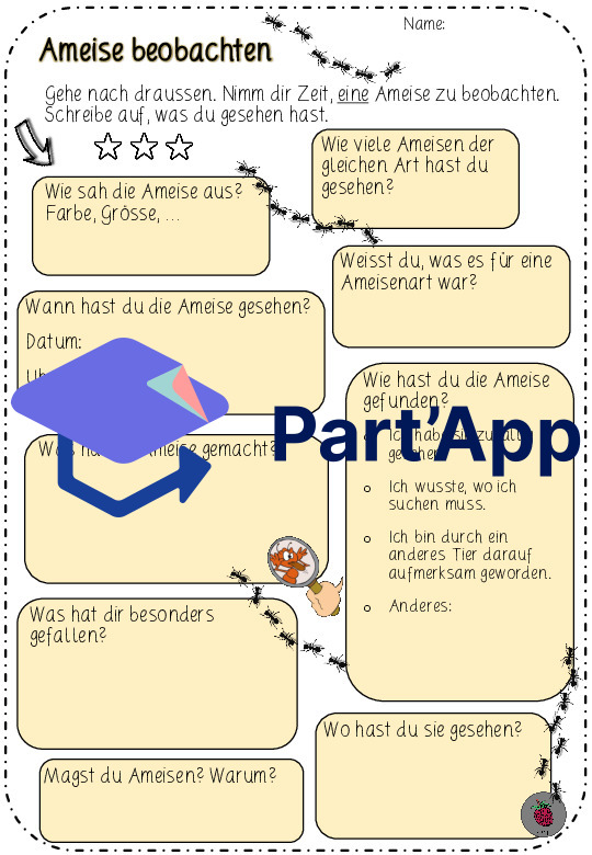 Ameise beobachten_CH-Version_6