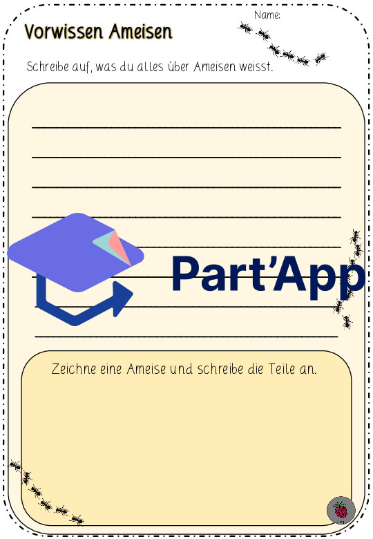 Ameise beobachten_CH-Version_7