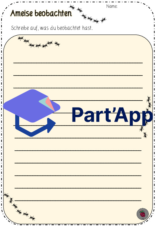 Ameise beobachten_CH-Version_8