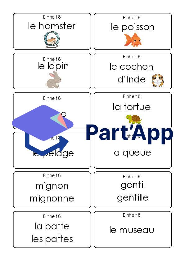 Vocabulaire allemand E8 - 6H_4