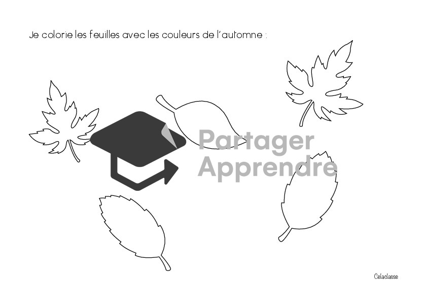 balade d'automne_87