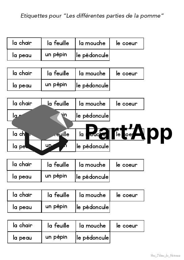 Dossier 3P-4P La pomme_5