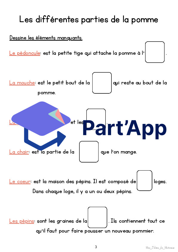 Dossier 3P-4P La pomme_6