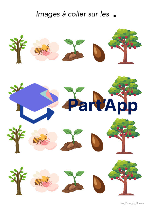 Dossier 3P-4P La pomme_10