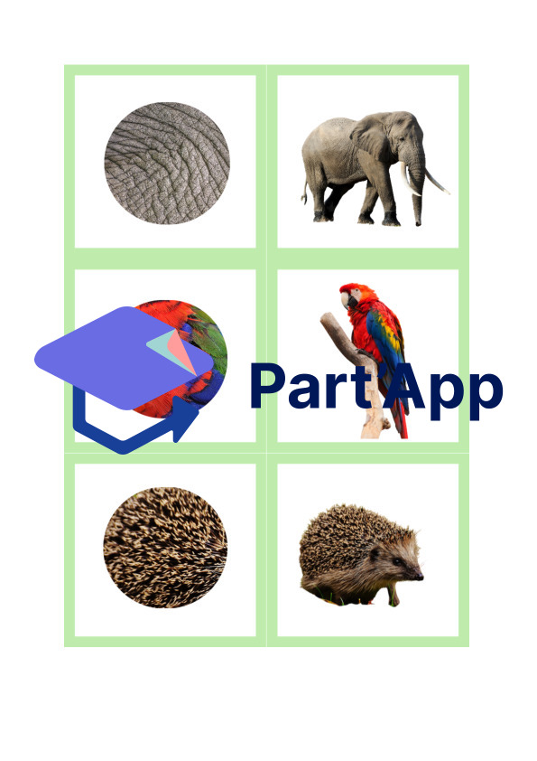 mémory animaux_2