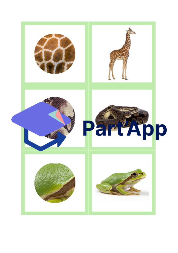 mémory animaux_3
