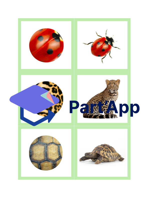 mémory animaux_5