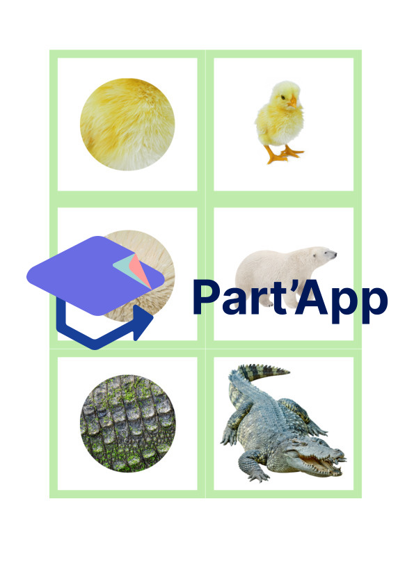 mémory animaux_6