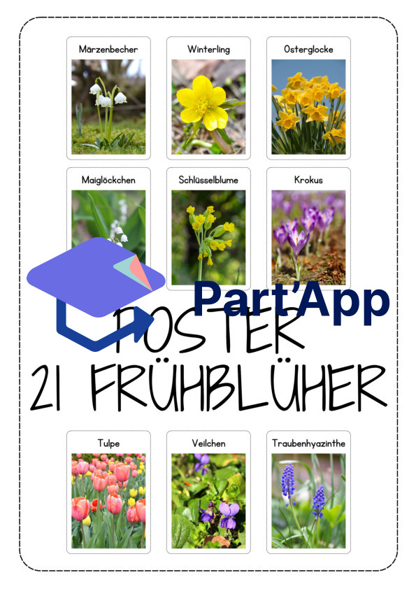 Frühblüher Poster_2