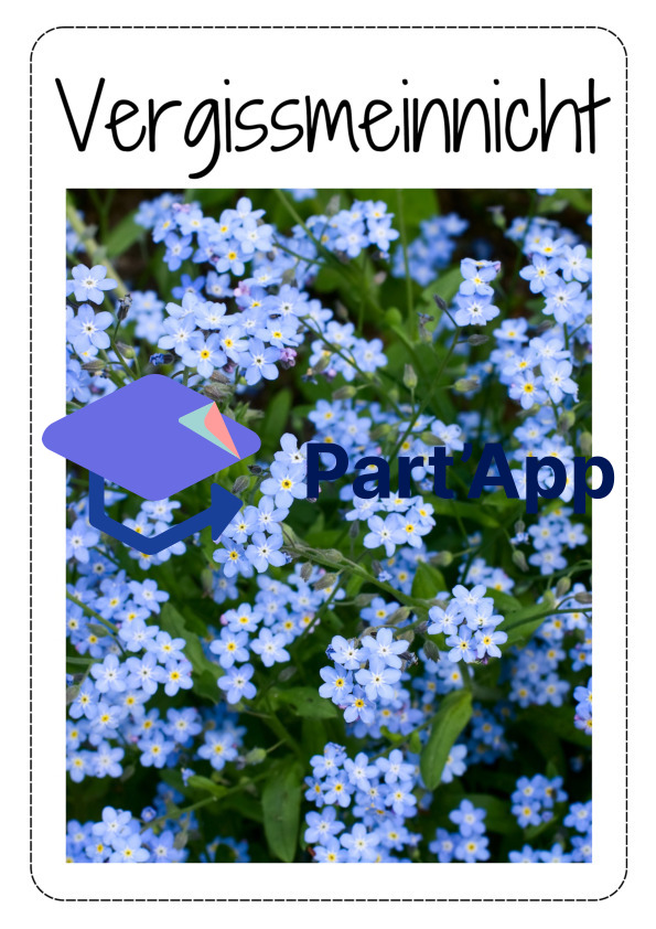 Frühblüher Poster_5
