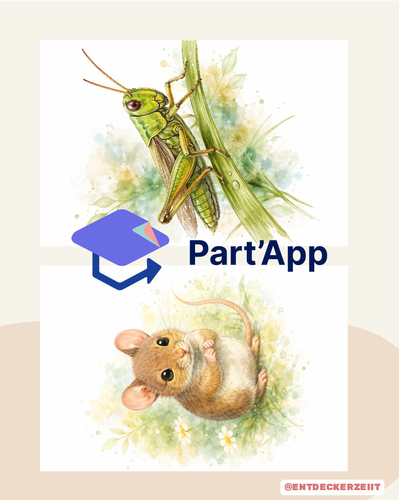 Entretiens avec les parents : images d'animaux_4