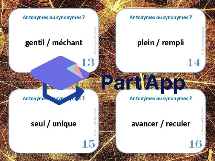 Antonymes ou synonymes ? 28 CÀT_15