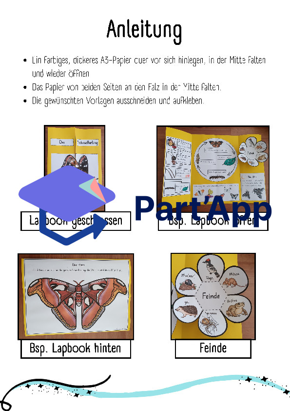 Lapbook für den Kindergarten: Schmetterling_3