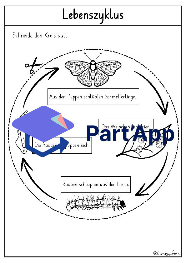Lapbook für den Kindergarten: Schmetterling_6