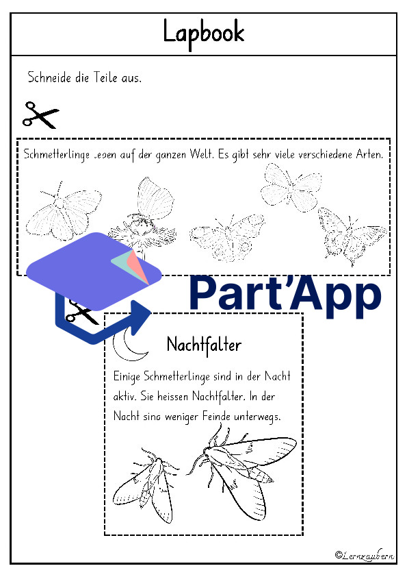 Lapbook für den Kindergarten: Schmetterling_7