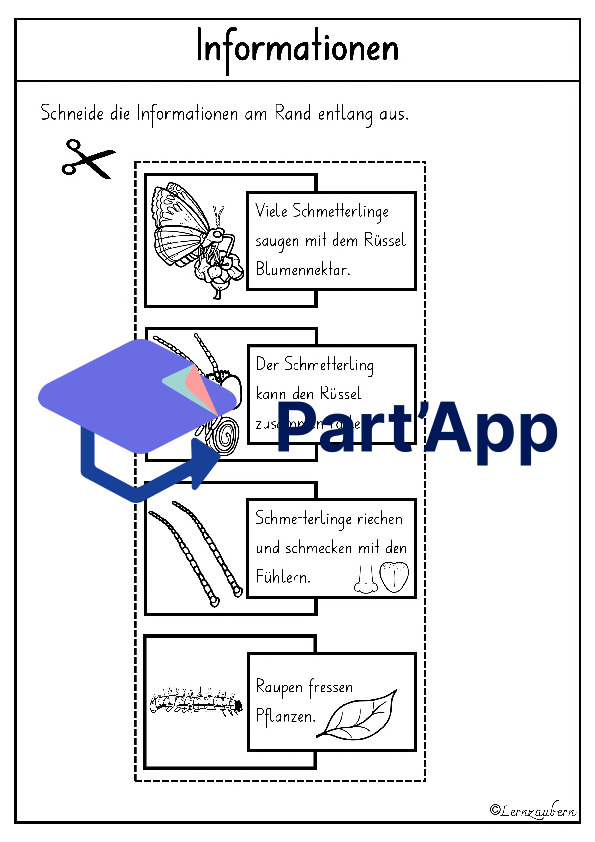 Lapbook für den Kindergarten: Schmetterling_8