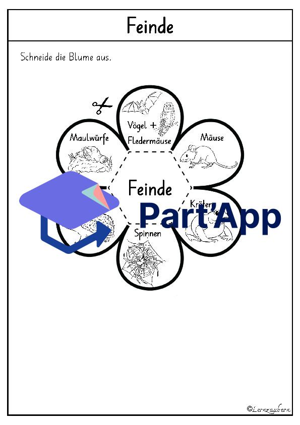Lapbook für den Kindergarten: Schmetterling_9