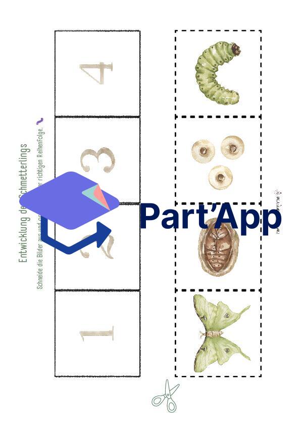 Entwicklung zum Schmetterling: Aufgabenblätter (Zahlenraupe + Reihenfolge)_3