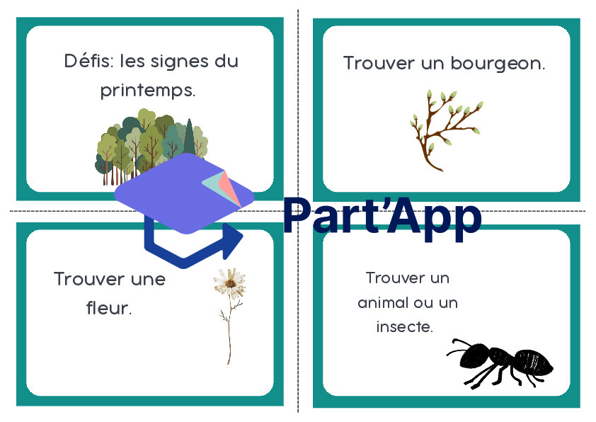 Forêt : printemps_2
