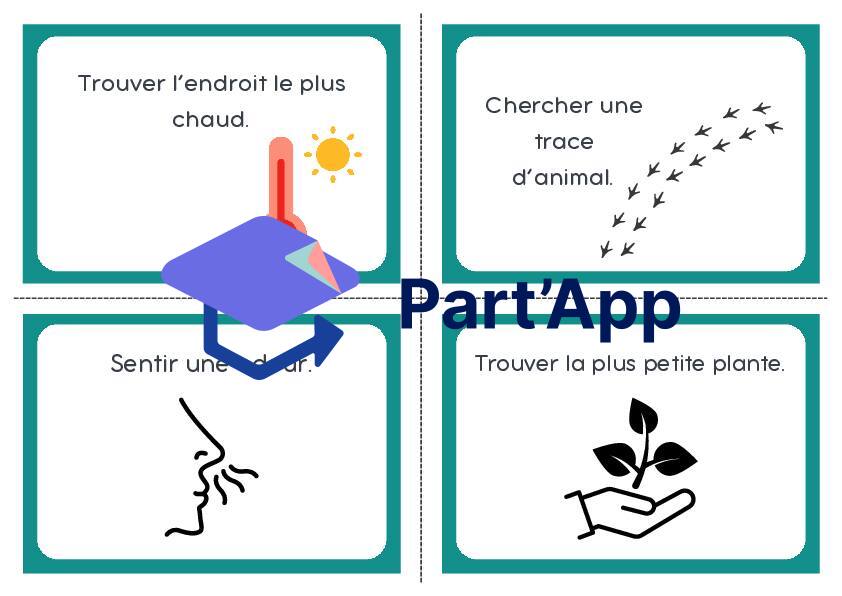 Forêt : printemps_5