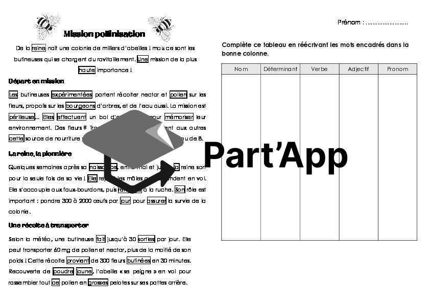 Classes grammaticales - Mission pollinisation_2