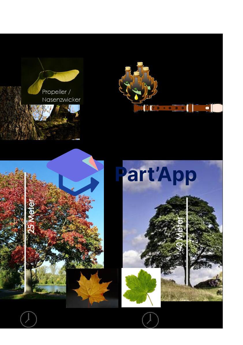 Baum-Plakate_2