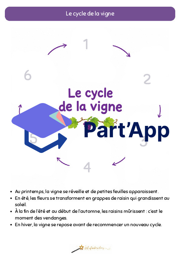 Dossier sur le raisin_3