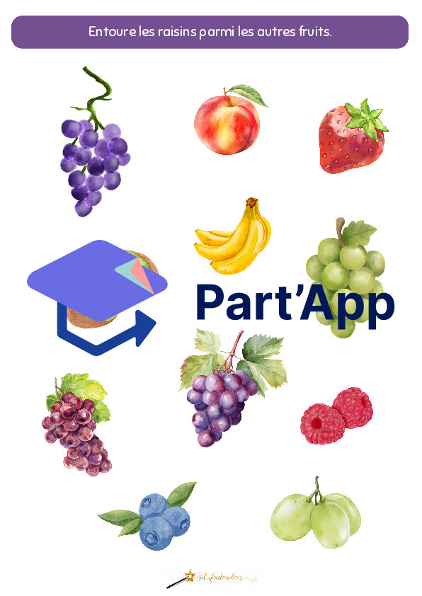 Dossier sur le raisin_4