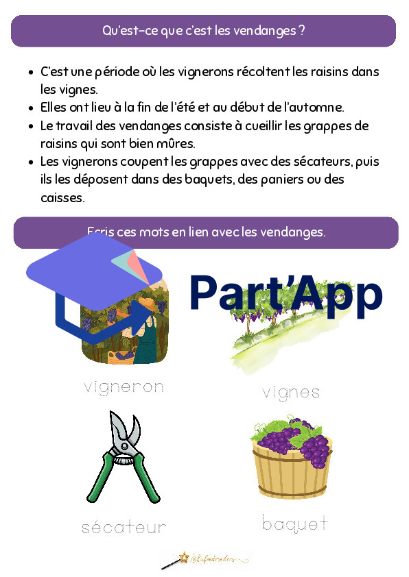 Dossier sur le raisin_9