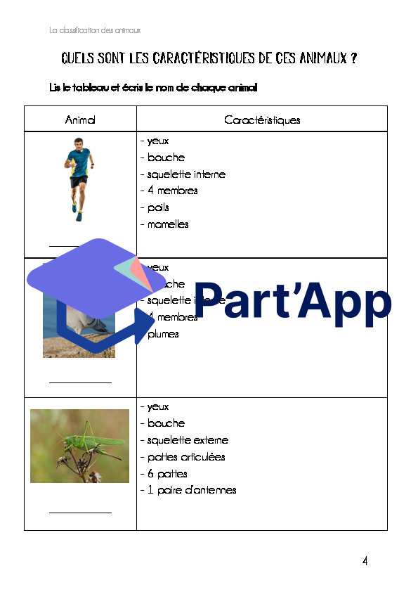 La classification des animaux_8