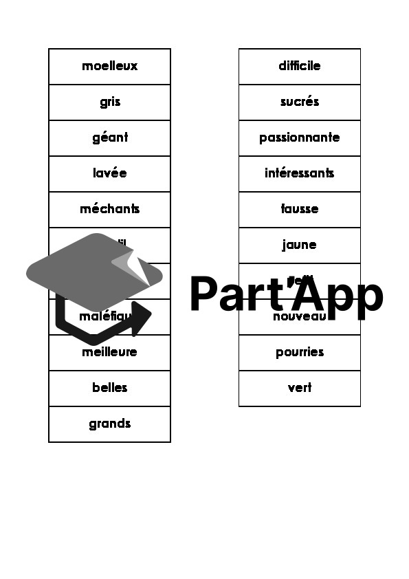 Accord adjectif - Jeu_2