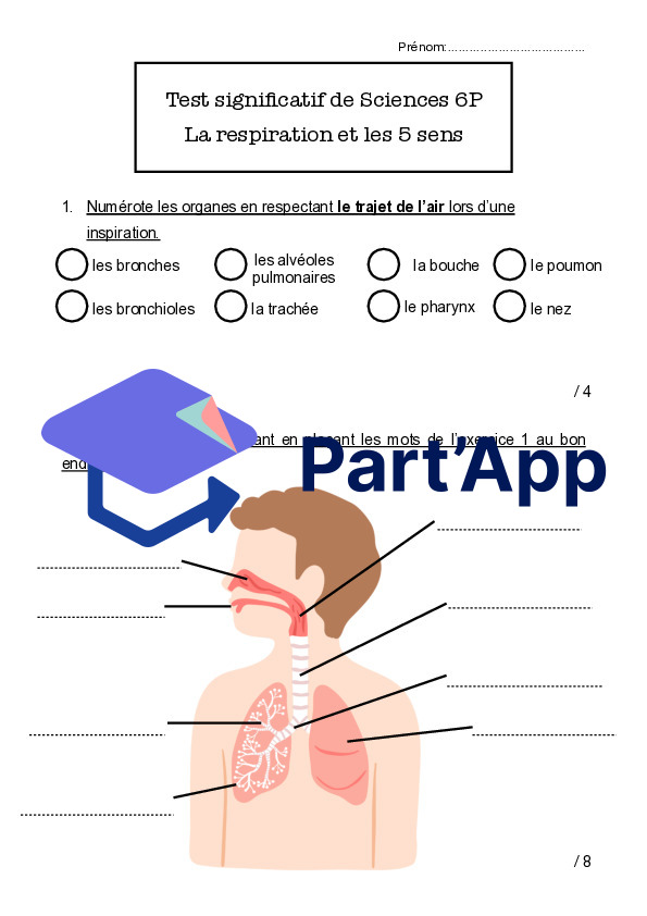 T.S respiration et 5 sens_3