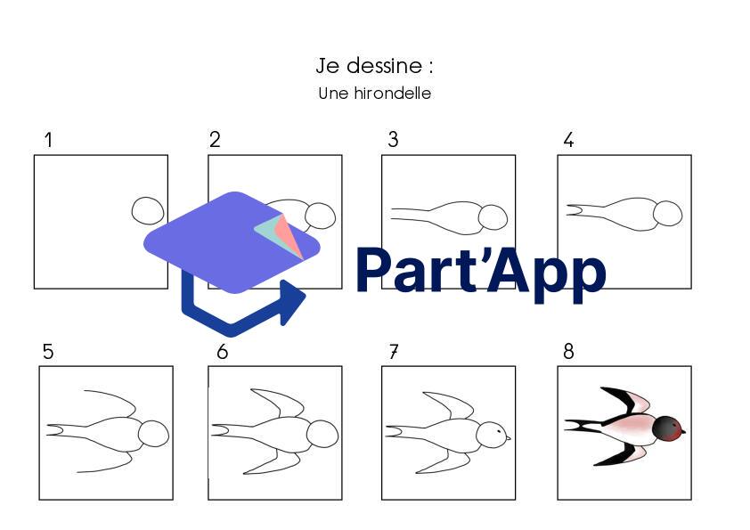 Dessin par étapes_3