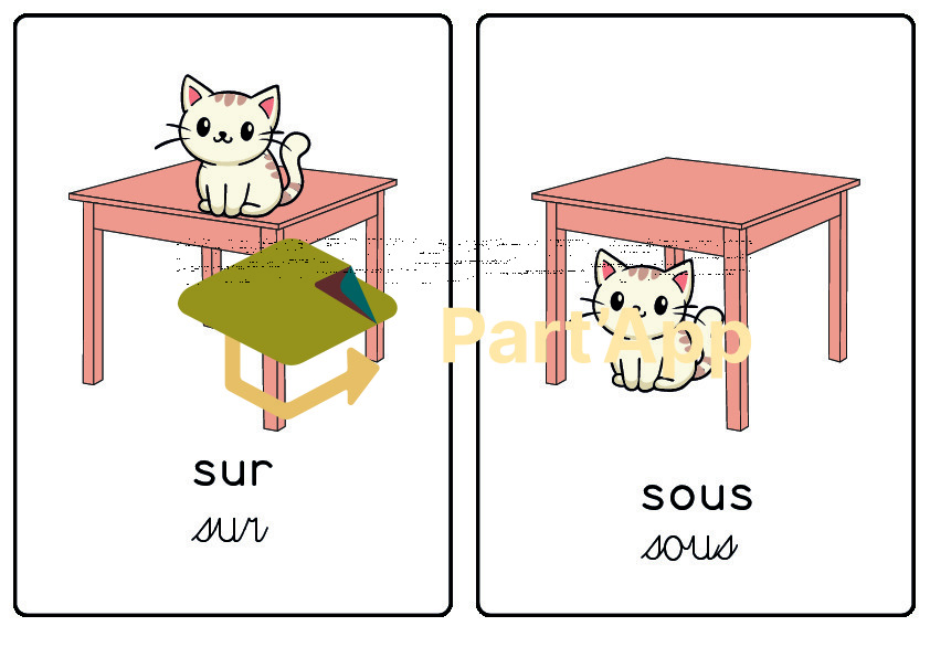 Cartes position - Le plan_2