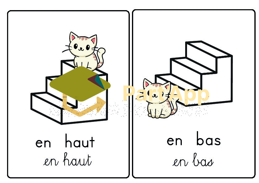 Cartes position - Le plan_5