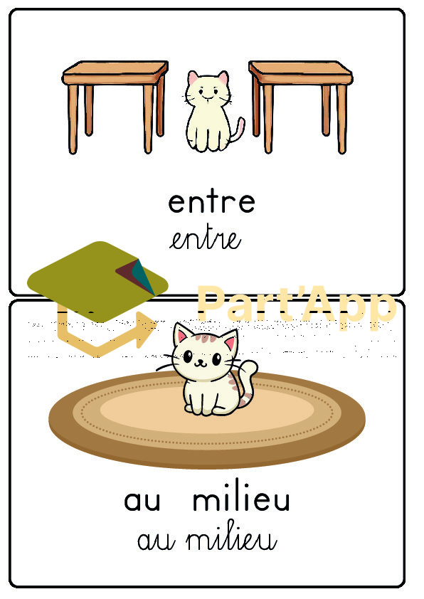 Cartes position - Le plan_7