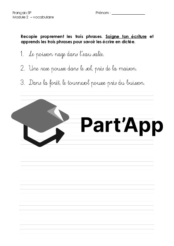 Module 2 - 5P : vocabulaire -> dossier dictée_3