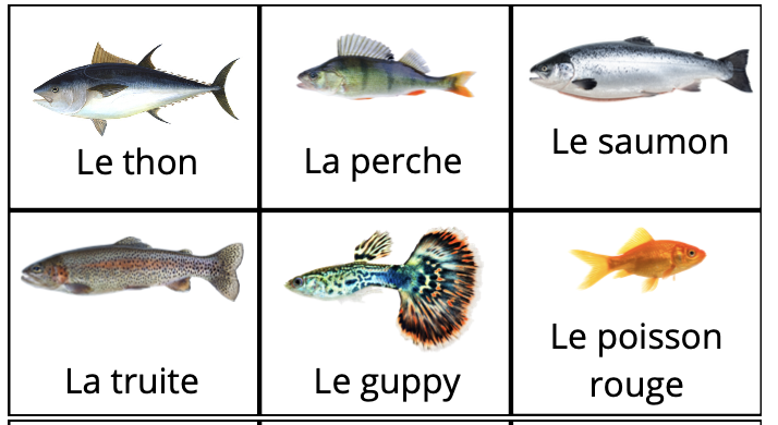 Dossier - Les poissons_2
