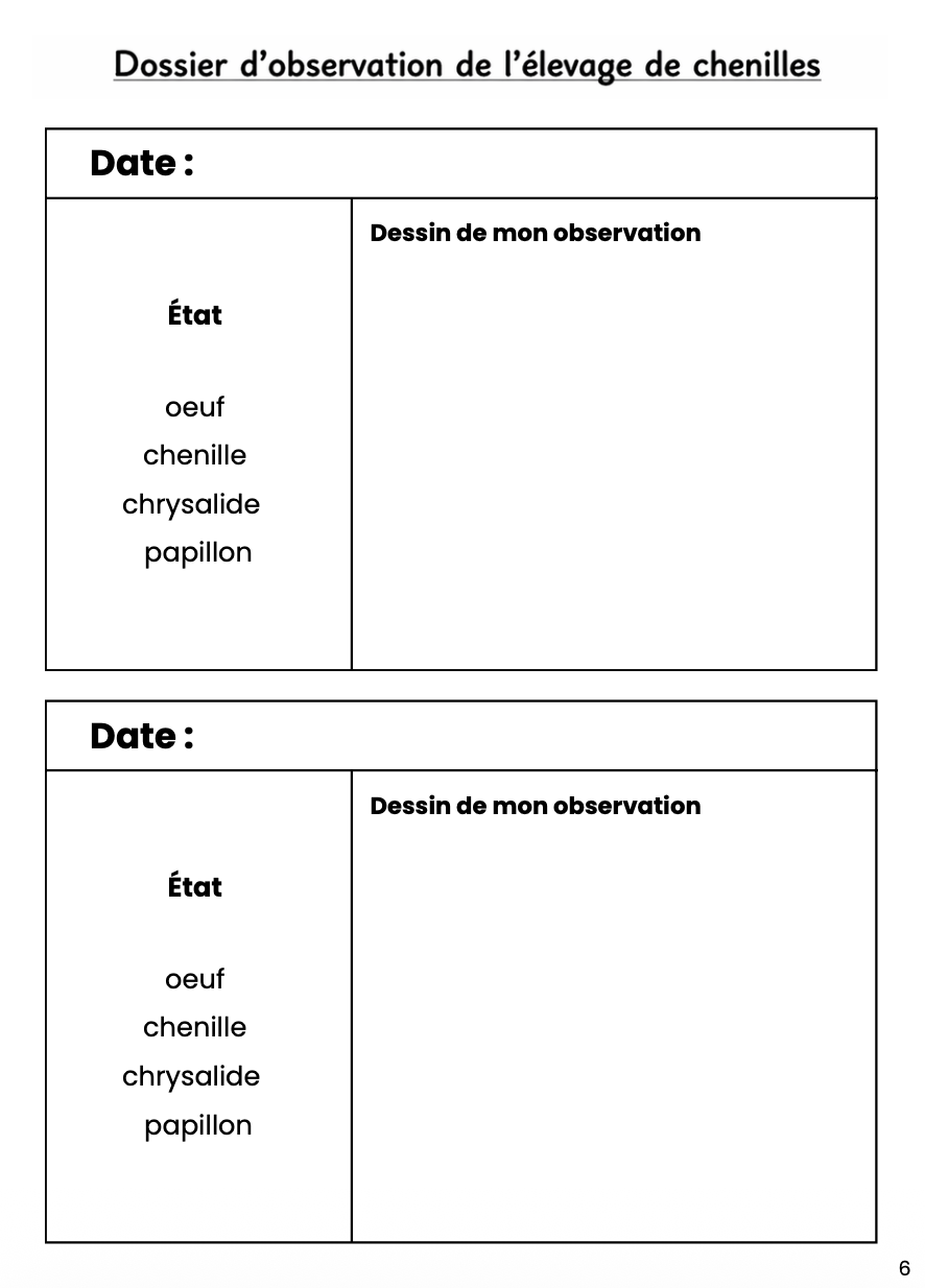 Dossier scientifique chenille et papillon_8