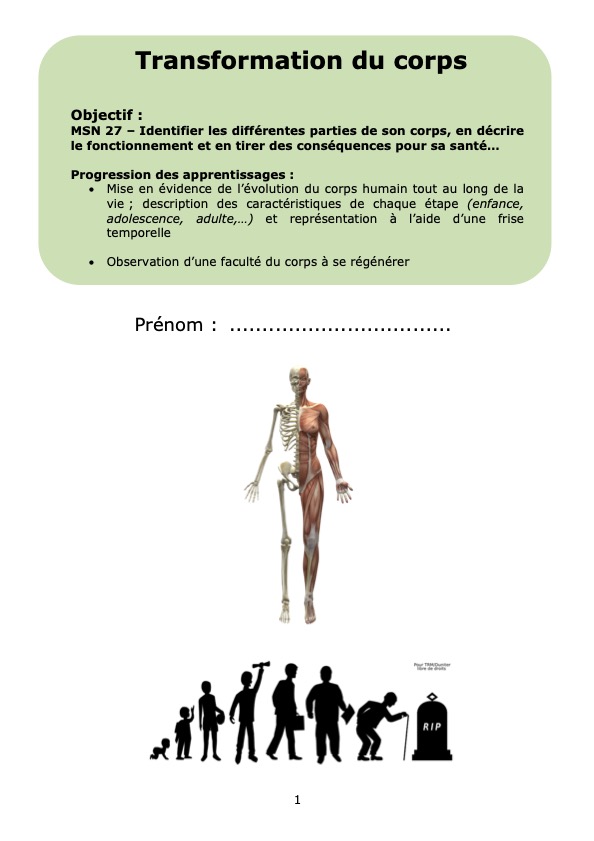 Dossier Transformation du Corps humain - Sciences 7H-8H_2