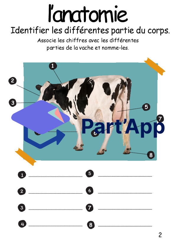 3P la vache_3