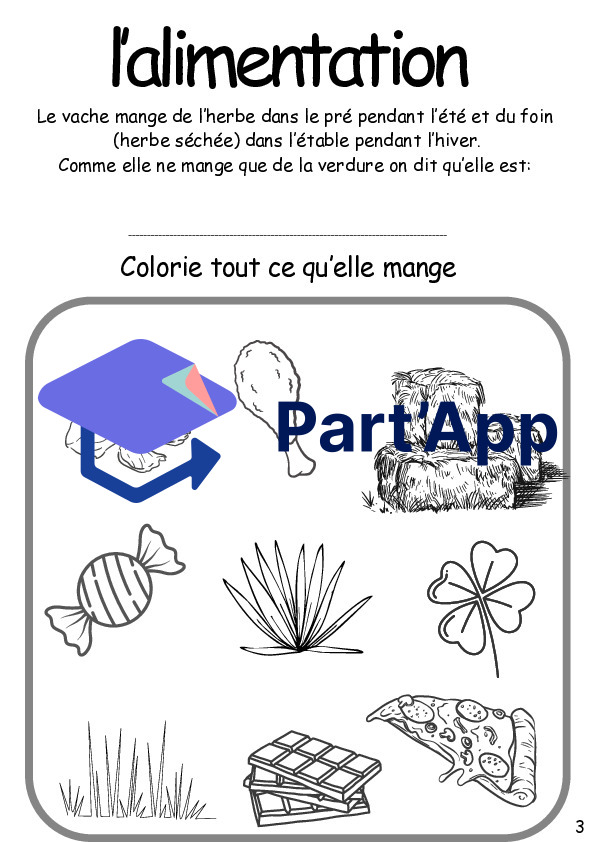 3P la vache_6