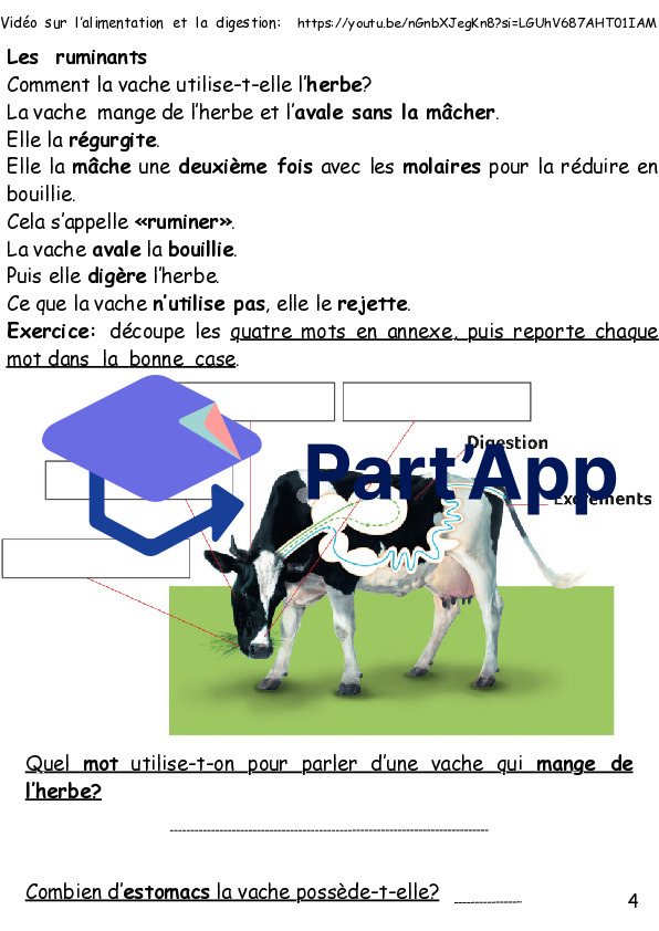 3P la vache_7