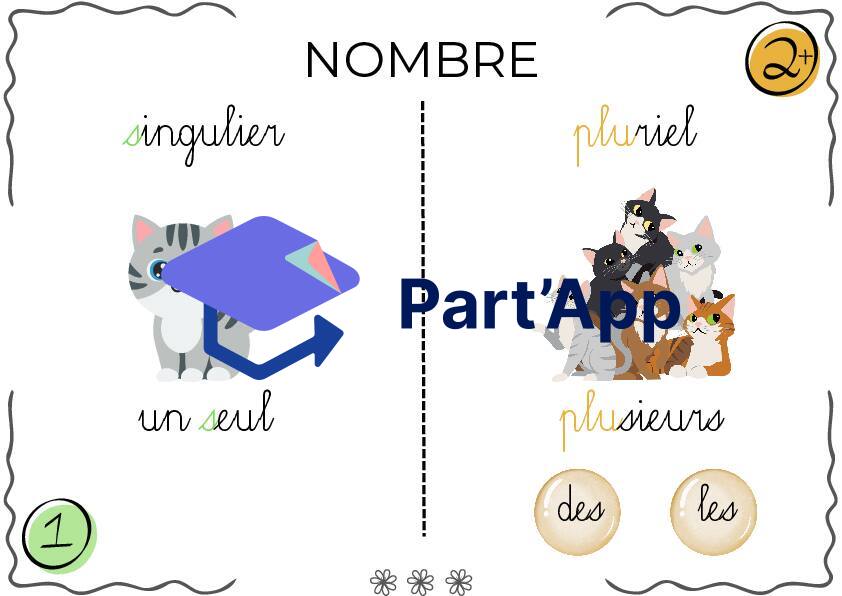Affiche : le genre et le nombre_3