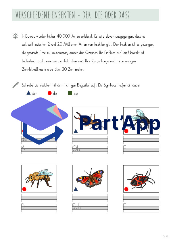 Nomen und Insekten_6