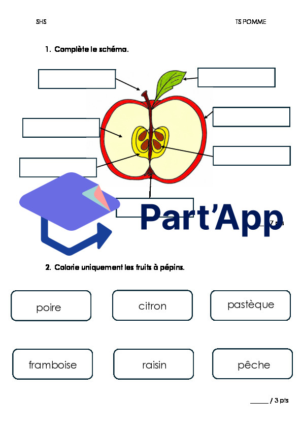 TS Pomme_3
