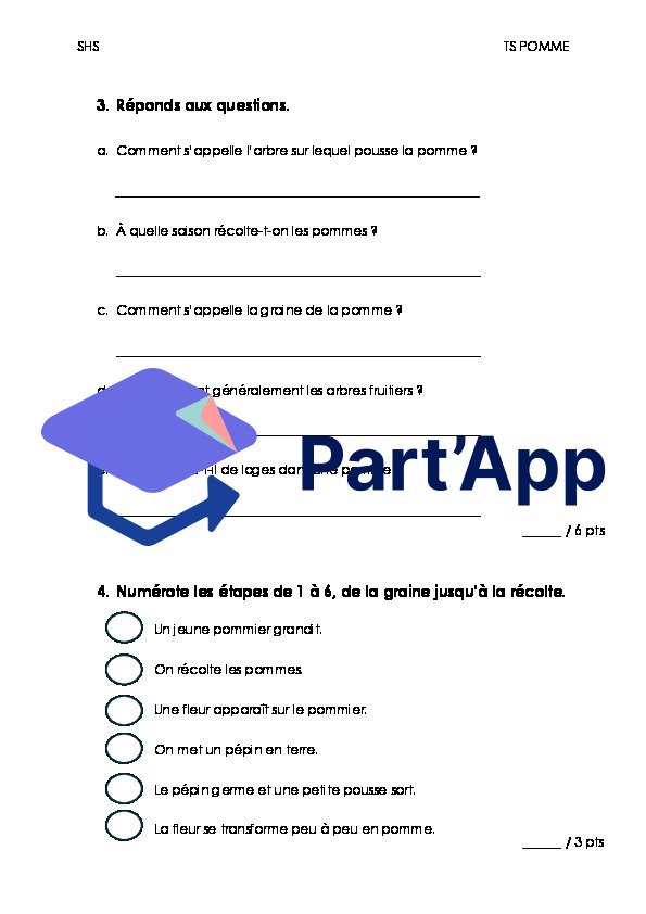 TS Pomme_4