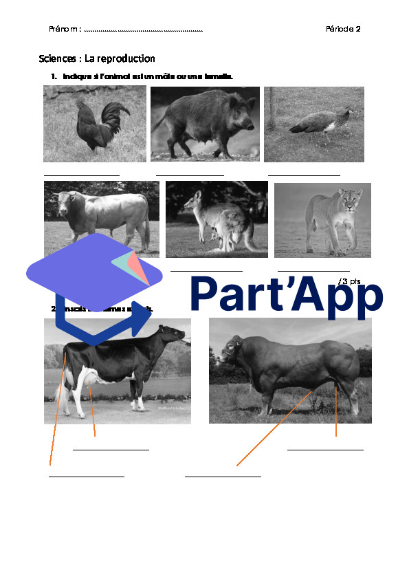 Evaluation "Reproduction" + "Approvisionnement"_3