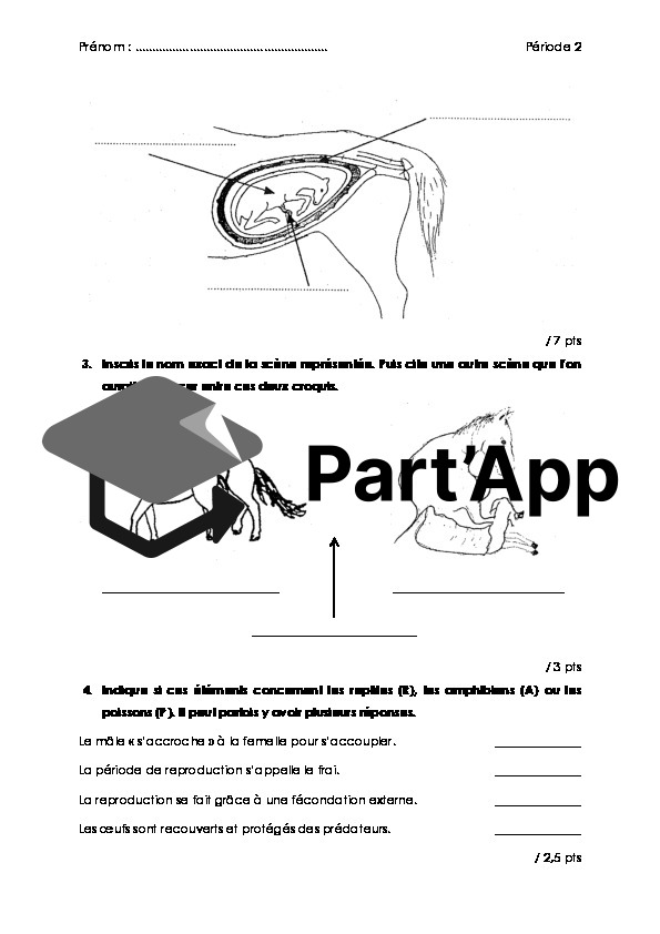 Evaluation "Reproduction" + "Approvisionnement"_4