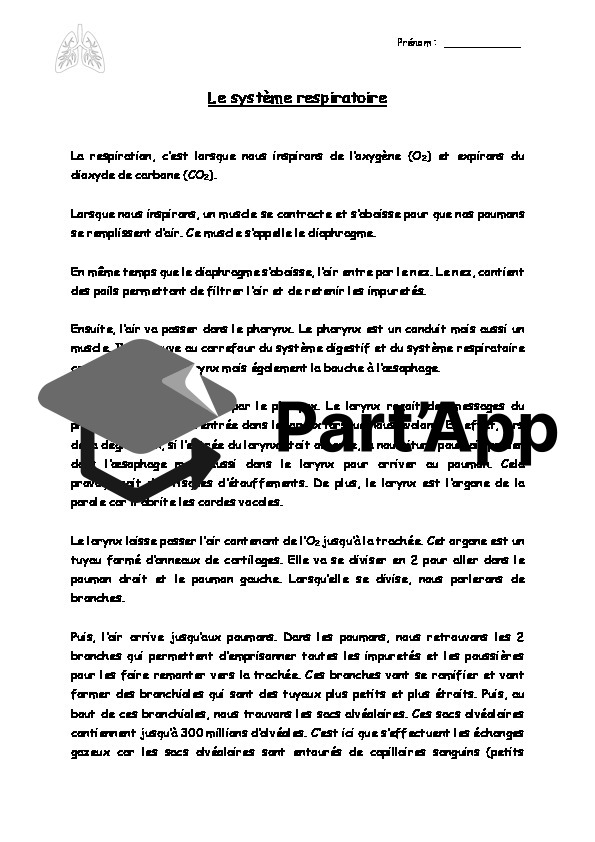 Le système respiratoire_2